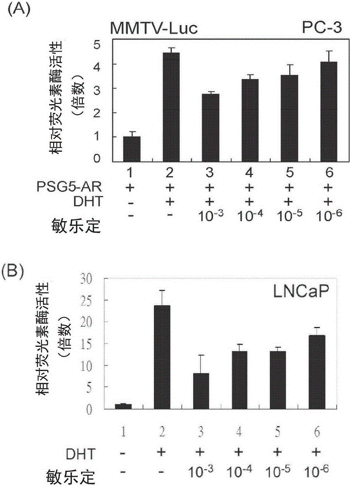 全球信誉最好的网投平台