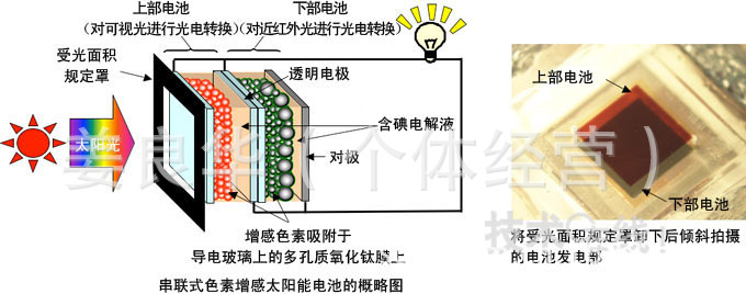 全球信誉最好的网投平台